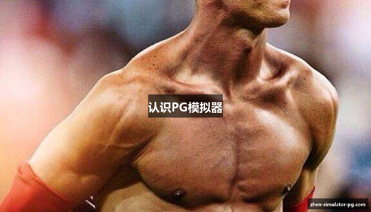 认识PG模拟器